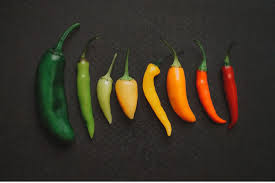 Hatch Green Chile vs. Jalapeño: What’s the Difference?