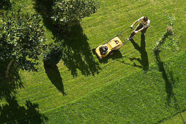 Is Kikuyu Grass the Best Choice for Coastal Perth Properties?